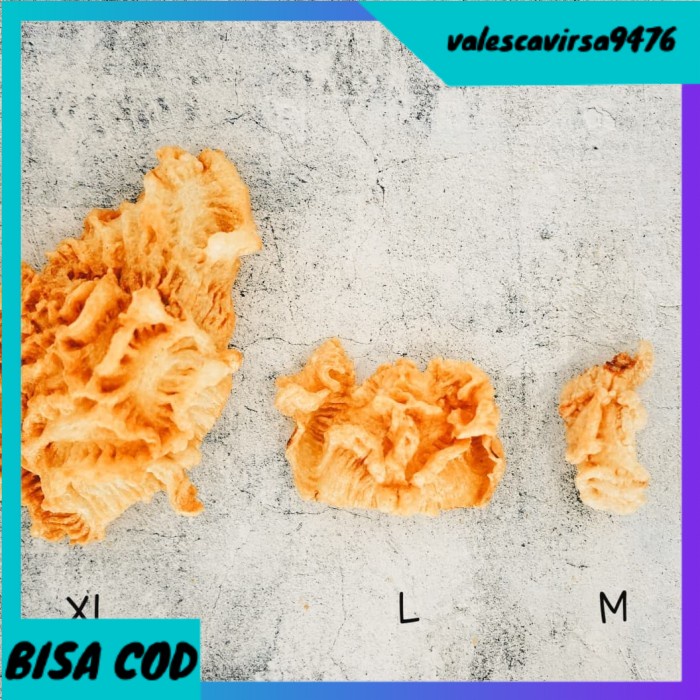 

⭐BISA COD⭐ Hupio / Hipio / Fish Belly / Yi Phiau - Size M