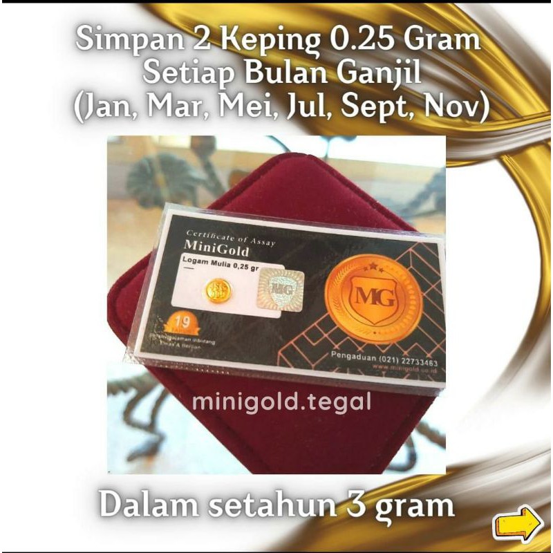 Mini Gold 0,025 GRAM