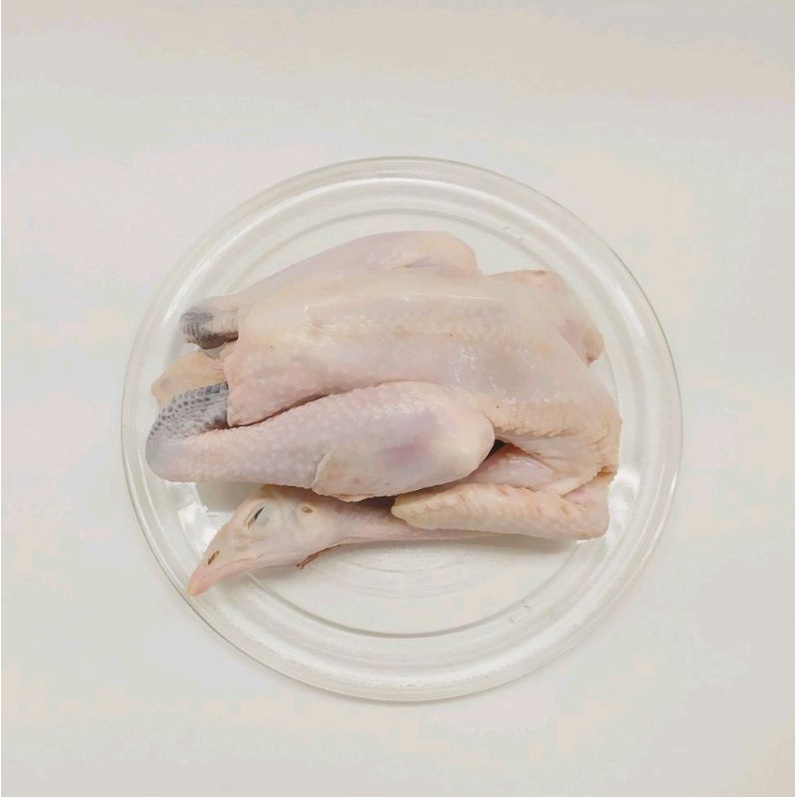 

Ayam Kampung Asli