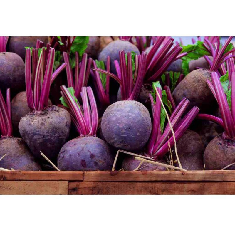 

Buah Bit Segar 500gram