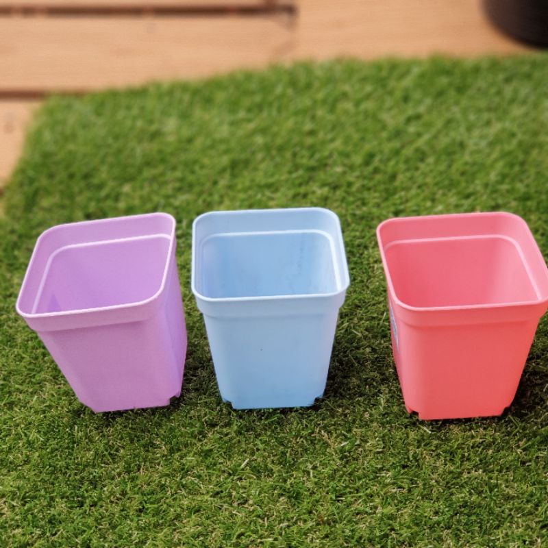 Pot plastik kotak kaktus kecil