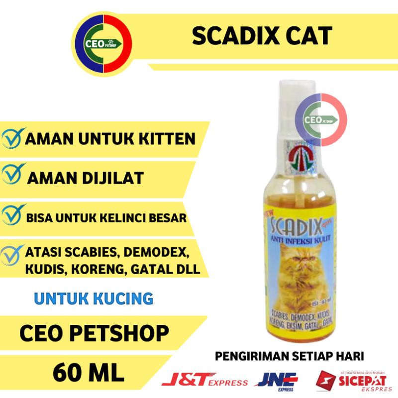 scadix obat jamur kucing
