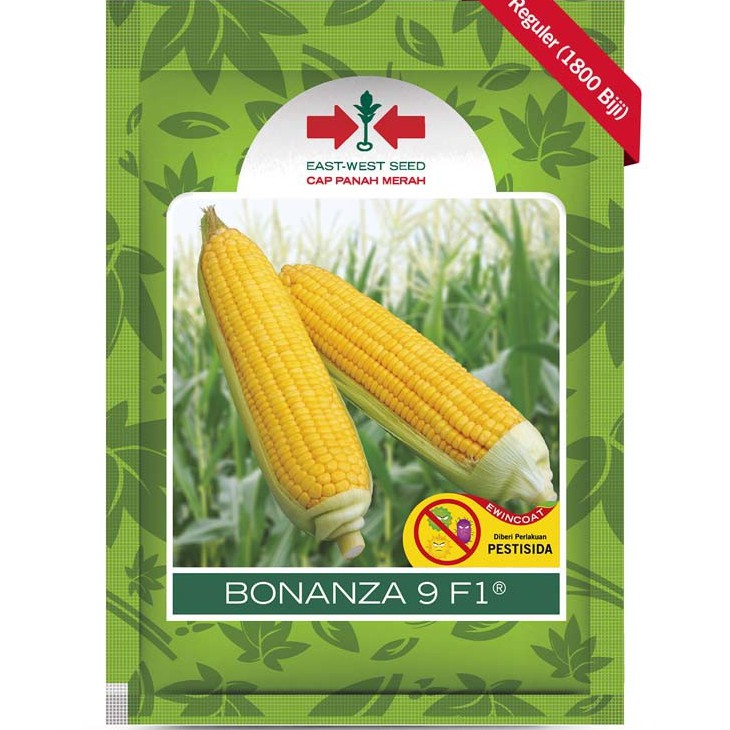 Jagung manis BONANZA 9 F1 SP & 1750 butir