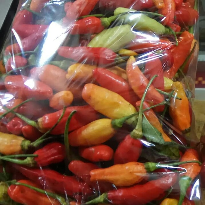 

Jual Cabe Rawit Merah