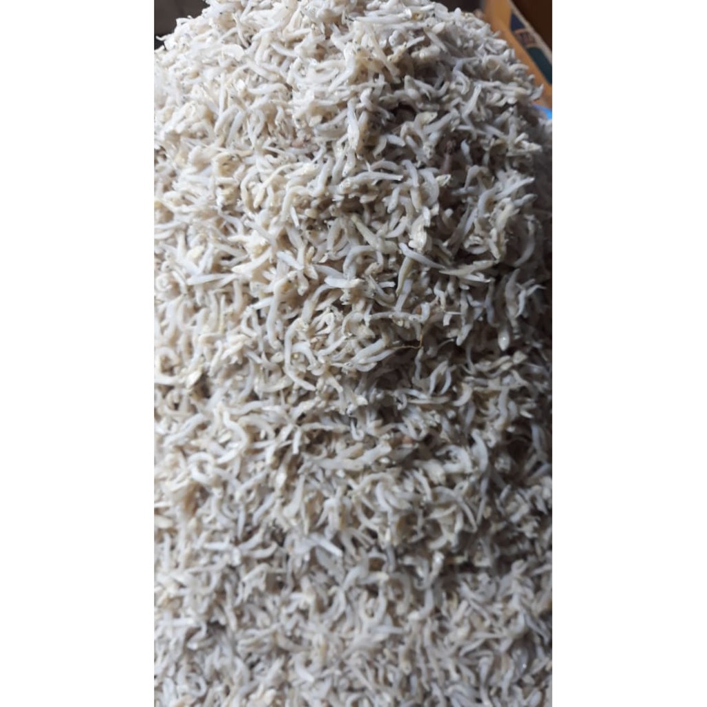 

IKAN TERI NASI MEDAN MURAH GRADE B 1 KG