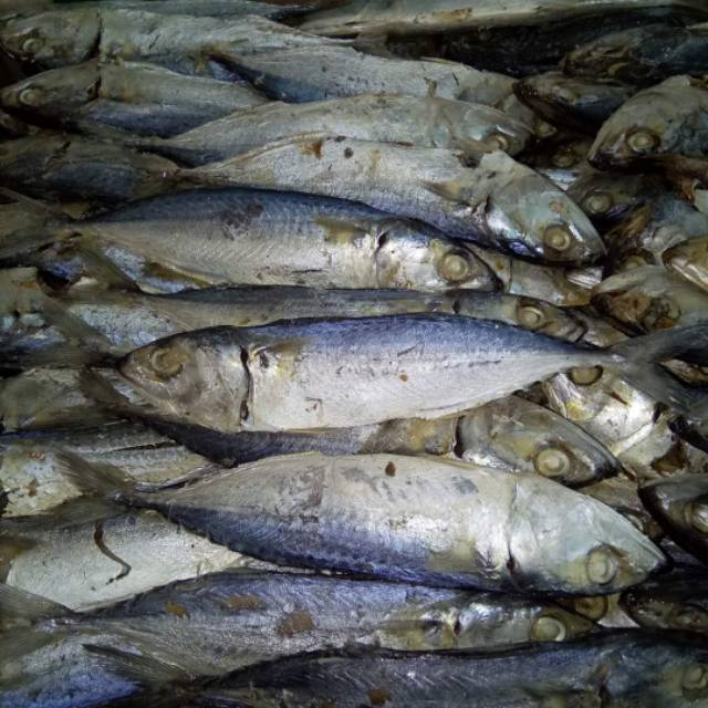 

Ikan asin peda gembung 500gram