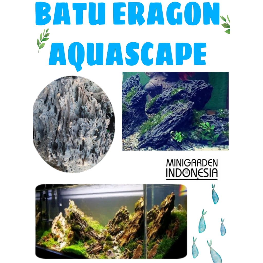 BATU ERAGON STONE  ECER 1KG batu aquascape garang stone batu hias aquarium