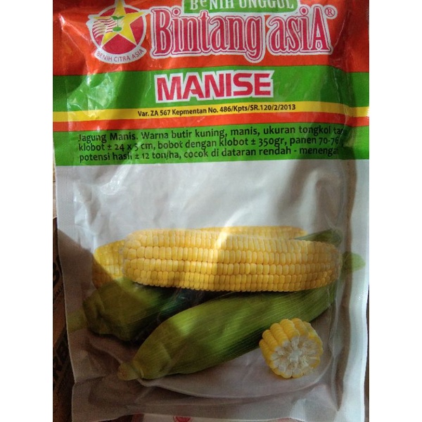 Benih jagung Manis sweeTop cap Bintang Asia