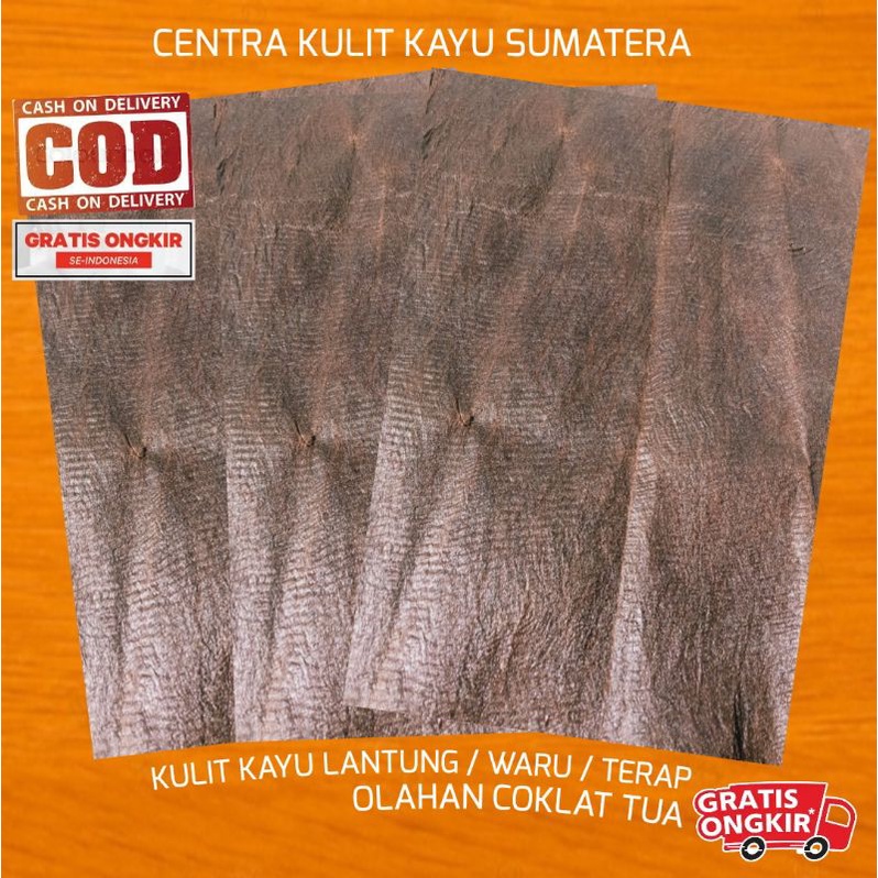 LEMBARAN BAHAN KULIT KAYU LANTUNG 1 x 2 METER WARU TERAP HONAI OLAHAN COKELAT TUA KULIT KAYU LANTUNG