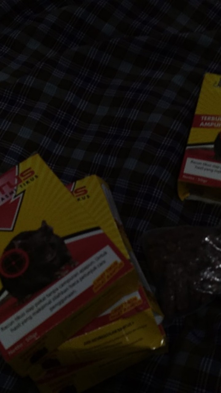 Ramtus Racun Tikus Got Curut Paling Ampuh Pembasmi Tikus Dirumah Racun Tikus Di Mesin Mobil 1 Pack