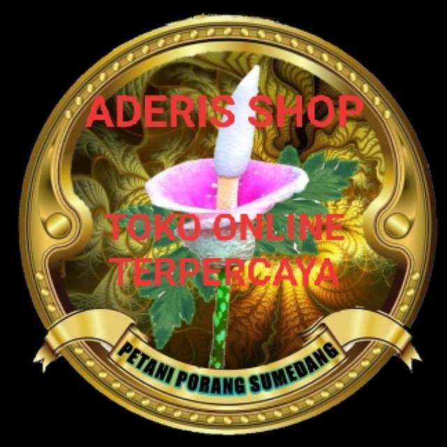 aderis.shop17