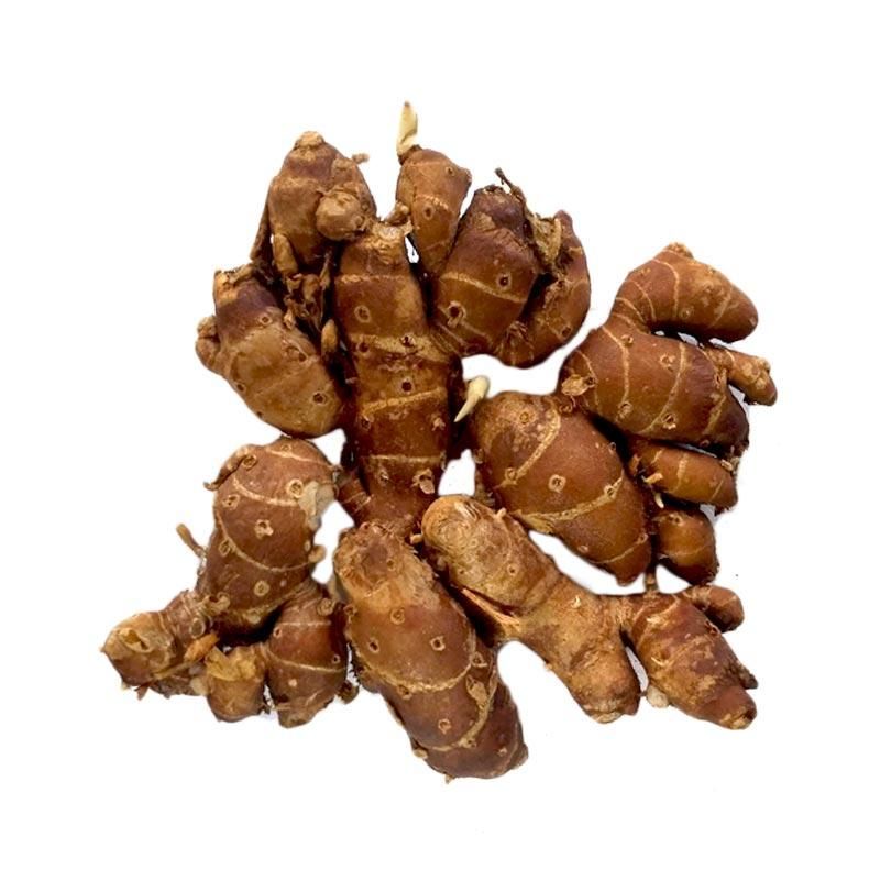 

Kencur Rempah per 100 gram SAYUR PRAKTIS ONLINE BANDUNG