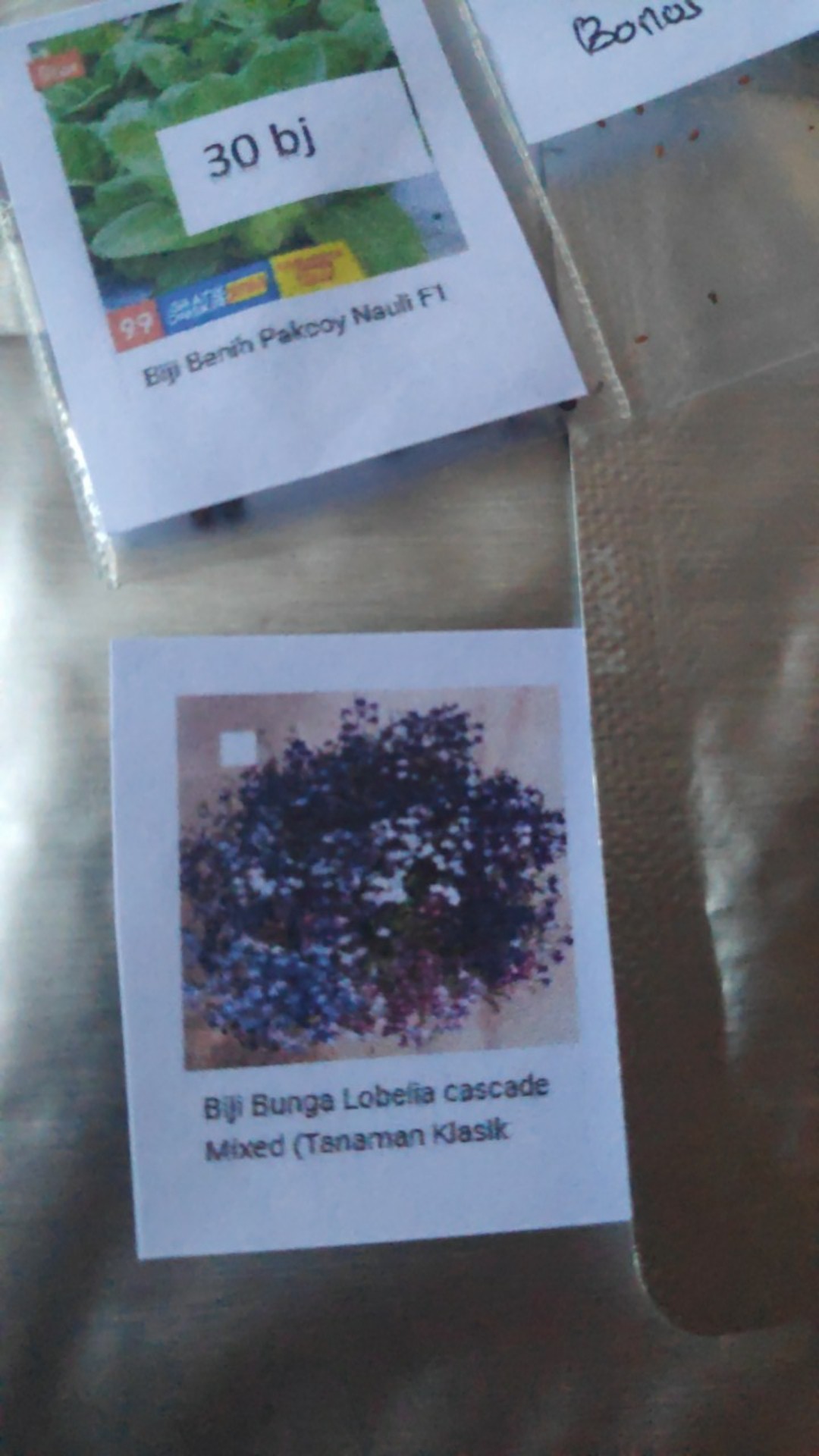 Biji Benih Bunga Lobelia Cascade Mixed  (tanaman Klasik Untuk Keranjang)