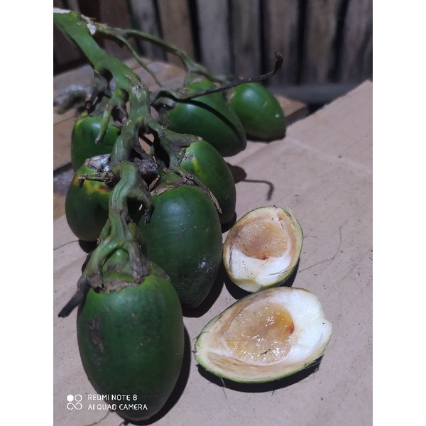 

Pinang asli muda 1kg