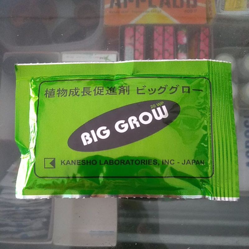 BIG GROW (ORIGINAL)