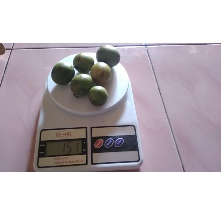 

[PROMO AZ799] BUAH GANDARIA / BUAH JATAKE / BUAH SEGAR / BUAH PETISAN Ready