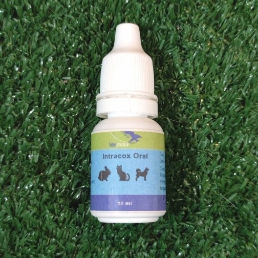 Intracox Oral 10ml, Obat Mencret dan Diare Hewan