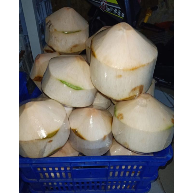 

KELAPA THAILAND SIAP MINUM
