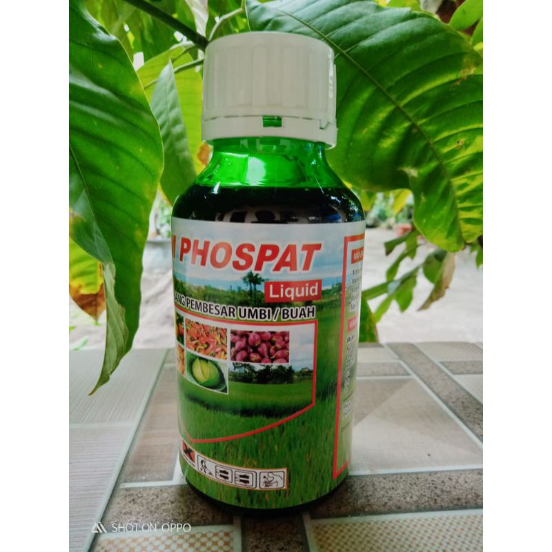 KALIUM PHOSPATE / KALIUM PEMBESAR UMBI