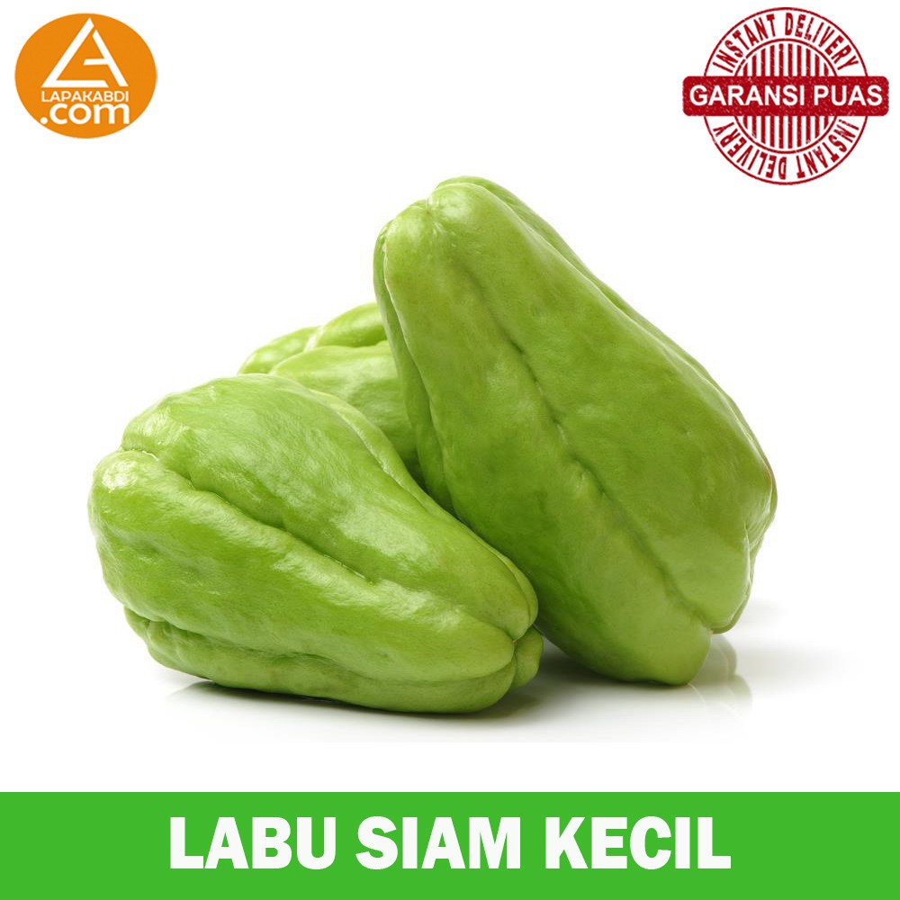 

Labu Siam Kecil 500gr Sayur Segar Garansi Termurah