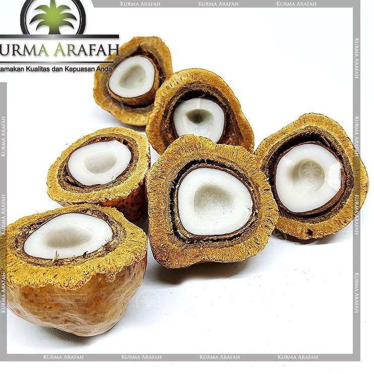 

TERLARIS Buah Zuriat Belah, Doum, Yuriat, Buah Adam Hawa, Zuriat Nabi 1kg ORIGINAL ( Sudah Dibelah )