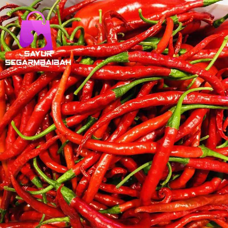 

cabai merah keriting segar/sayursegar