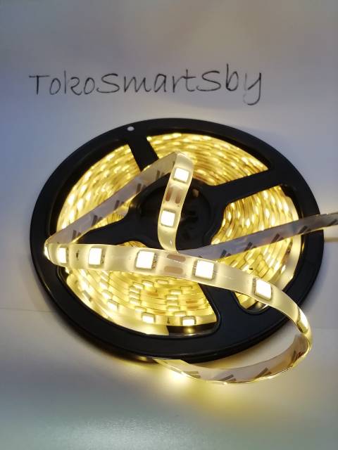 Lampu LED Strip Mata Besar SMD 5050 IP44 Warna 12V / Led Strip 2835/3528 12V 5 Meter Full