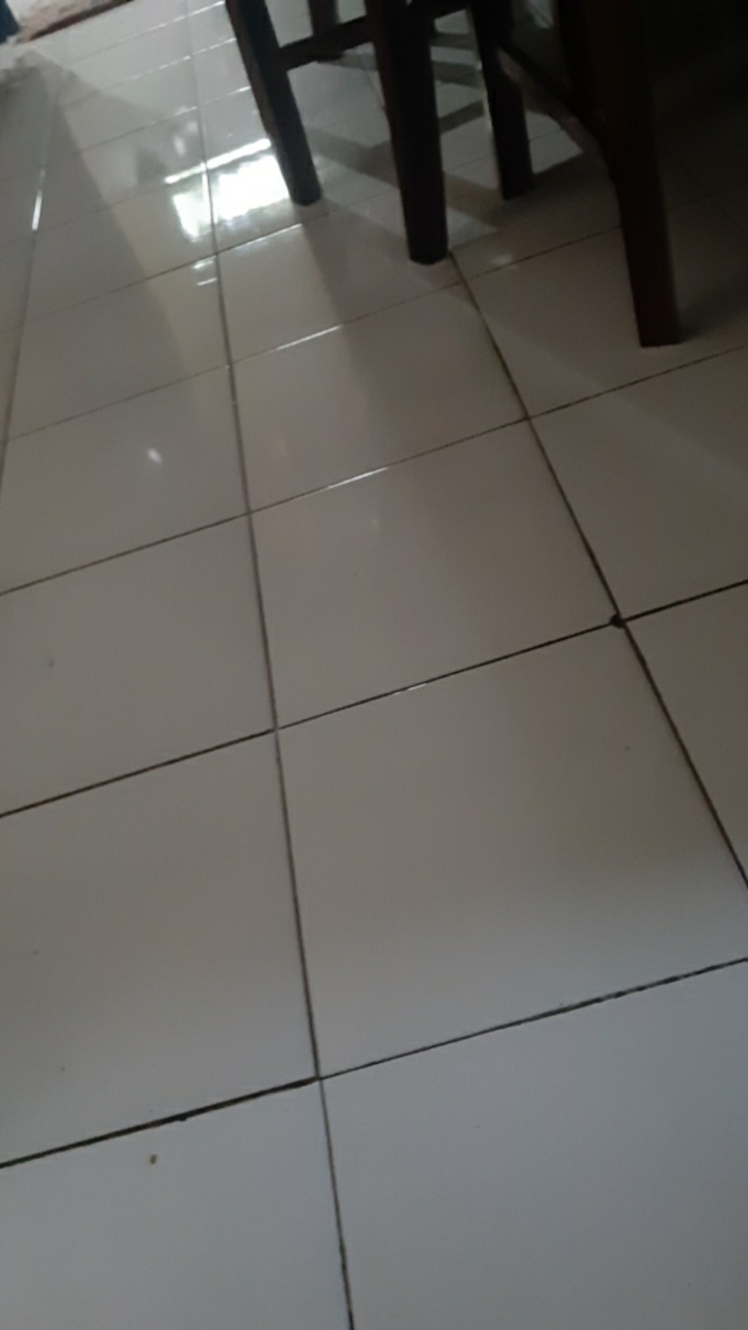 Herbal Benalu Di Pohon Teh Original Anti Tumor Dan Kanker 100 Gr