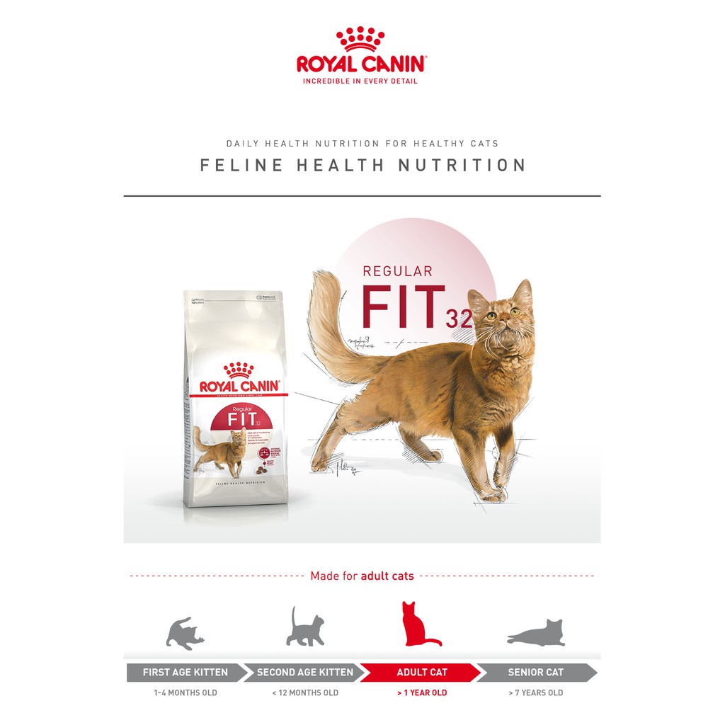 RC FIT32 400 GR / royal canin fit 32 / cat food / dry