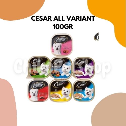 Makanan anjing / Dog food Murah Cesar 100gr all variant wet food