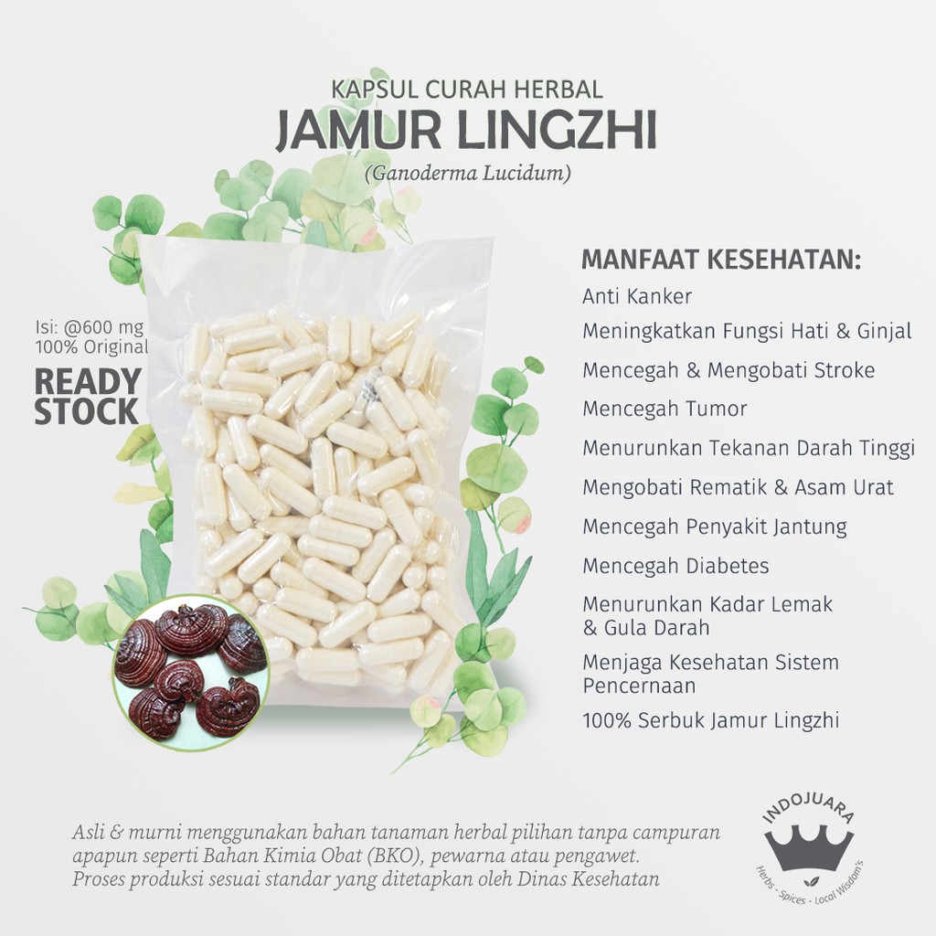 

JAMUR LINGZHI 200x600mg Kapsul Curah Herbal Anti Aging Stroke Insomnia Kanker Hipertensi Rematik