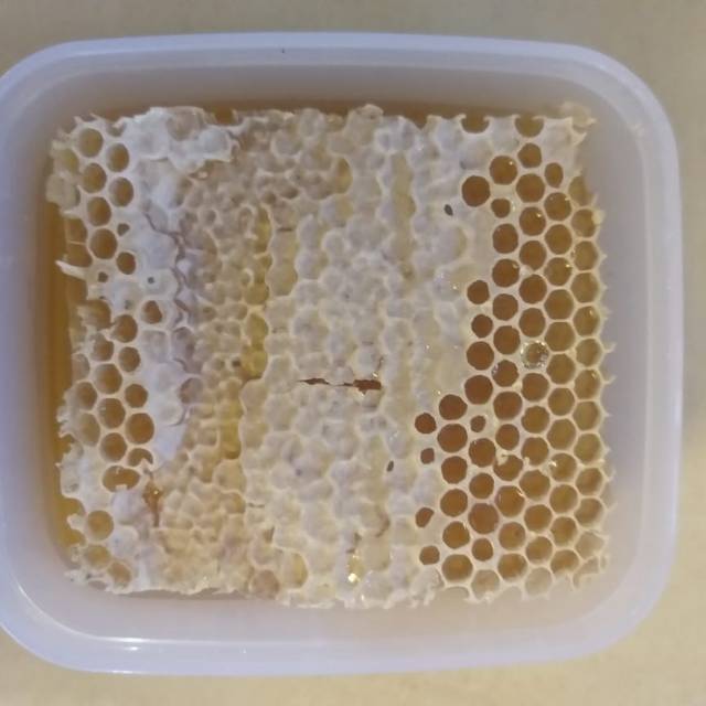 

Honey Comb madu sarang 250gr GRADE A