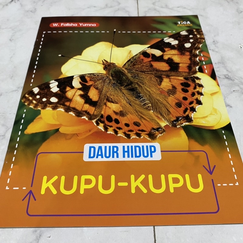 Daur hidup kupu kupu life cycle of animals / buku pengetahuan anak bahasa indonesia / siklus kehidup