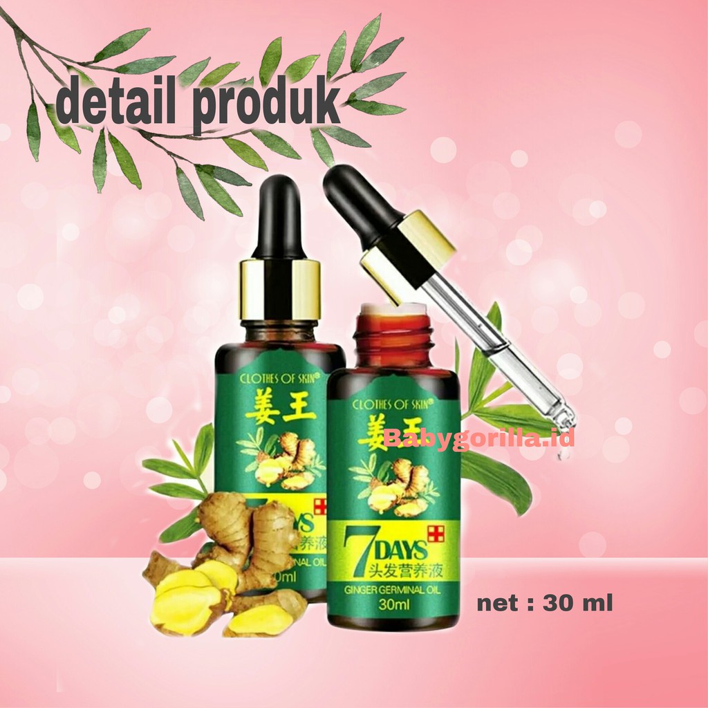 Cairan Essence Penumbuh Rambut Anti Rontok Serum Obat kebotakan Nutrisi Rambut Jahe-Babygorilla.id-2