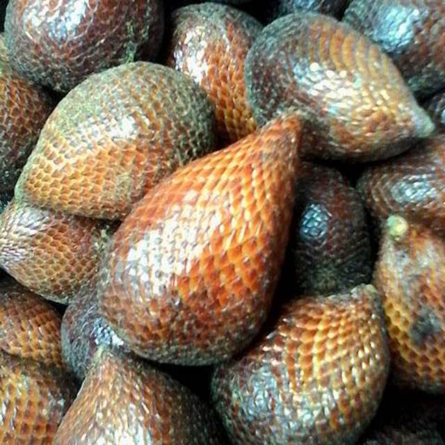 

Salak Pondoh