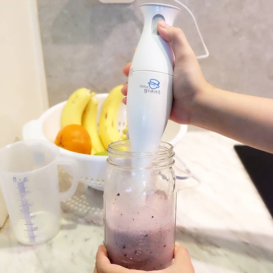 LITTLE GIANT HAND BLENDER