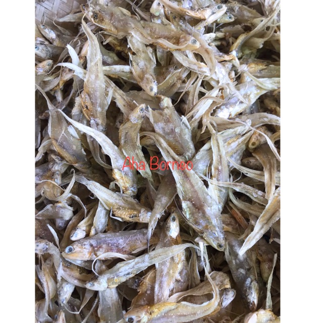 

Ikan Asin Bilis / Fumuiphu / Fu Mui Ng Phu / Ikan Asin Bilis Bulu Ayam