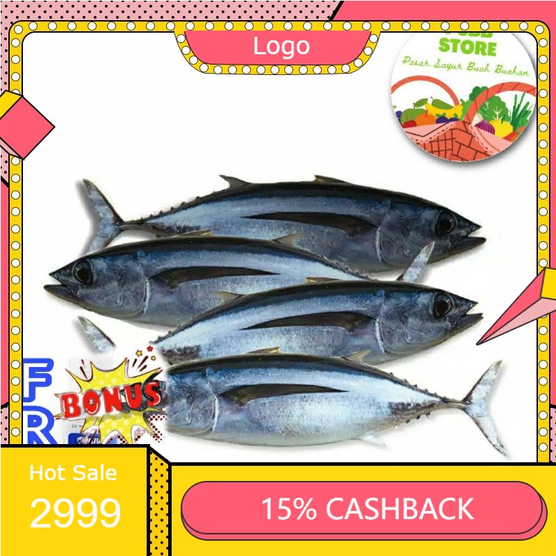 

RENGKEK SURABAYA - Ikan Tongkol Putih Segar Per ekor