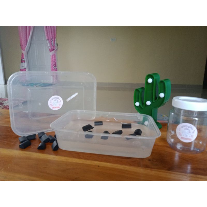 clear cangs slime (wadah slime)