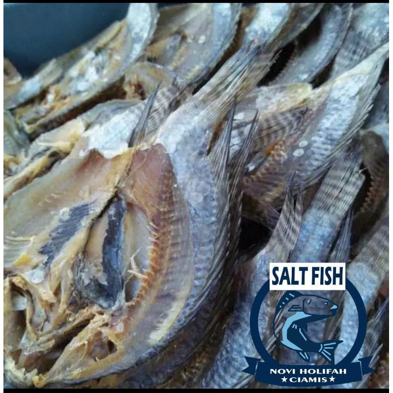 

PROMO Ikan Asin Mujaer 100g/250g/500g harga termurah