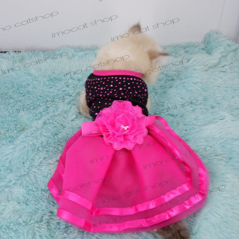 Baju dres tutu mawar kucing anjing ras kecil