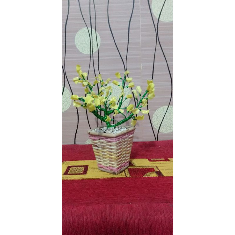 

bonsai akrilik dimajopa