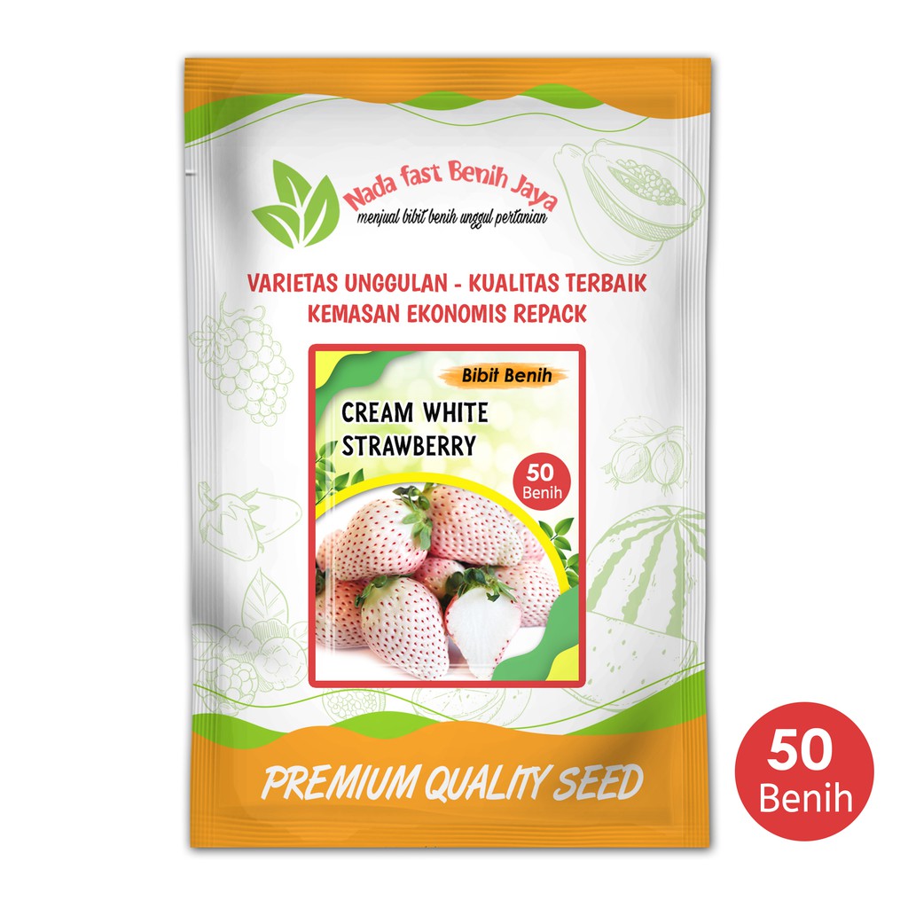 BIBIT BENIH STRAWBERRY PUTIH MANIS 50 BIJI - BENIH STRAWBERRY CREAM WHITE