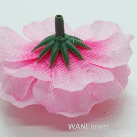 ➮ WANFlower Bunga Papan Suyok 100 * MAGENTA-PINK (perbungkus) ❀