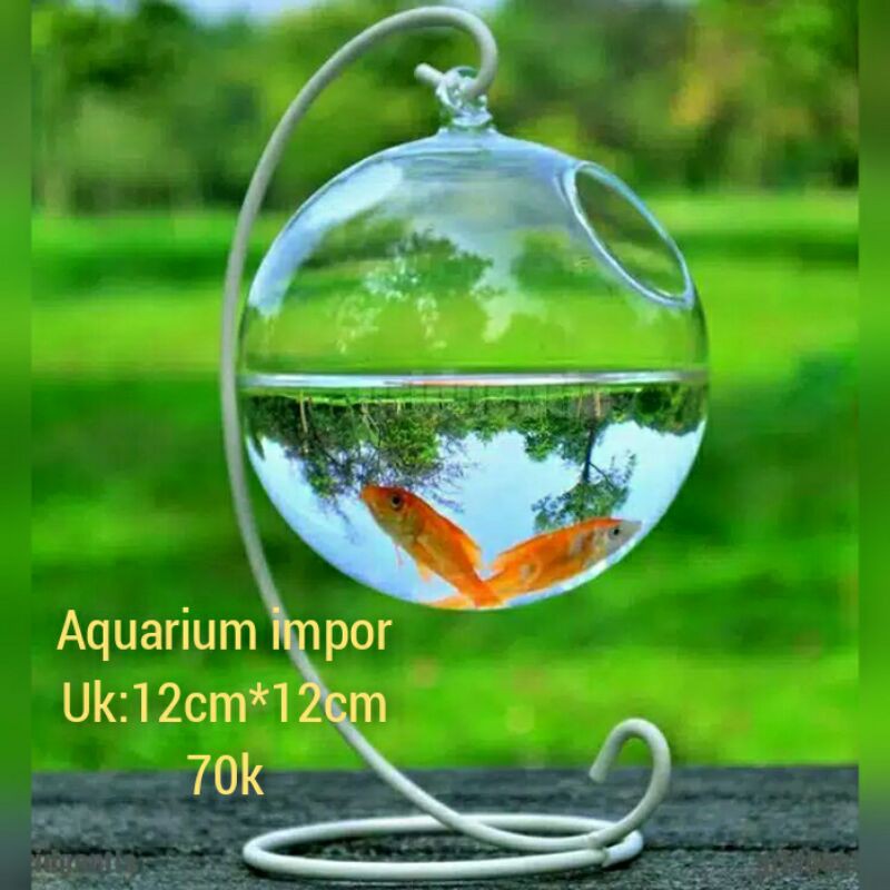 aquarium unik