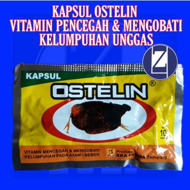 Obat Ayam Lumpuh/KAPSUL OSTELIN/MENCEGAH & MENGOBATI KELUMPUHAN PADA AYAM DAN BEBEK