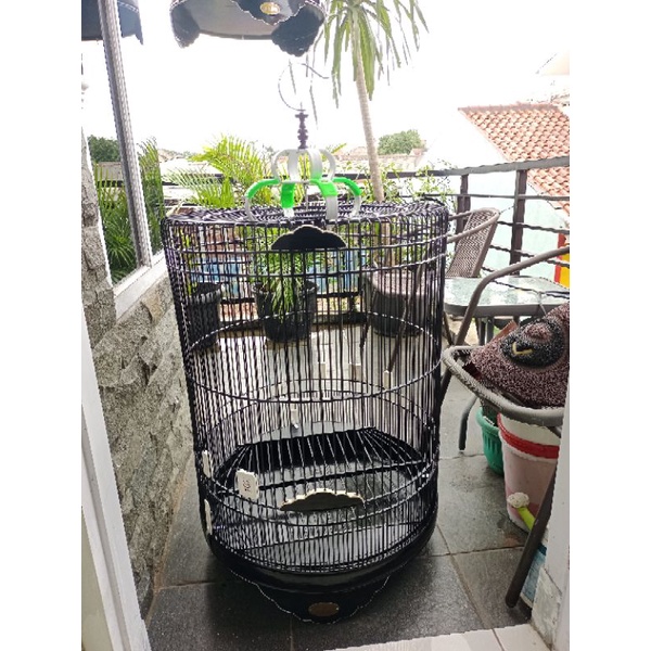 kandang burung murai