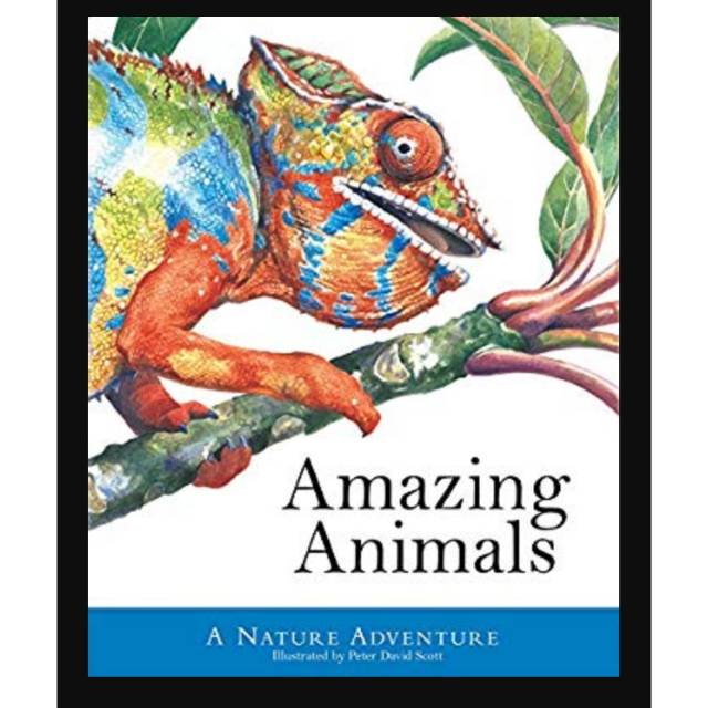 AMAZING ANIMALS - A Nature Adventure