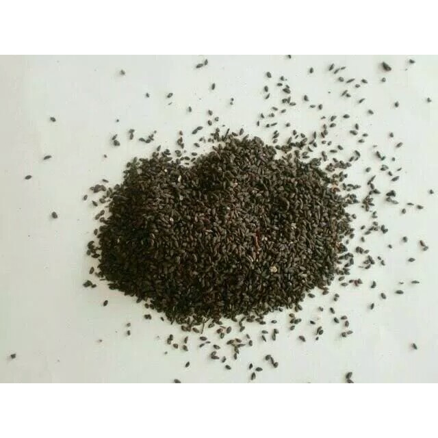 

10 G 50 GR 100 GRAM 车前子 CHE QIAN ZI SEMEN PLANTAGINIS PLANTAIN SEED SEEDS