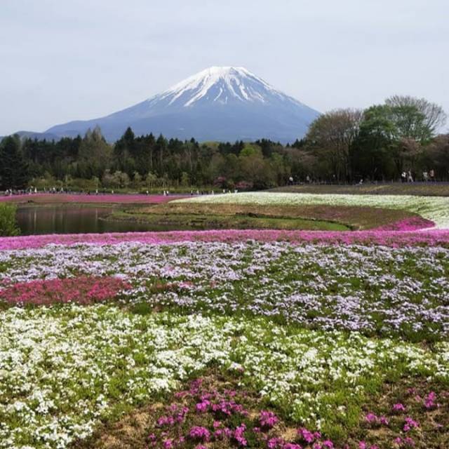 athikaputrinurhayati